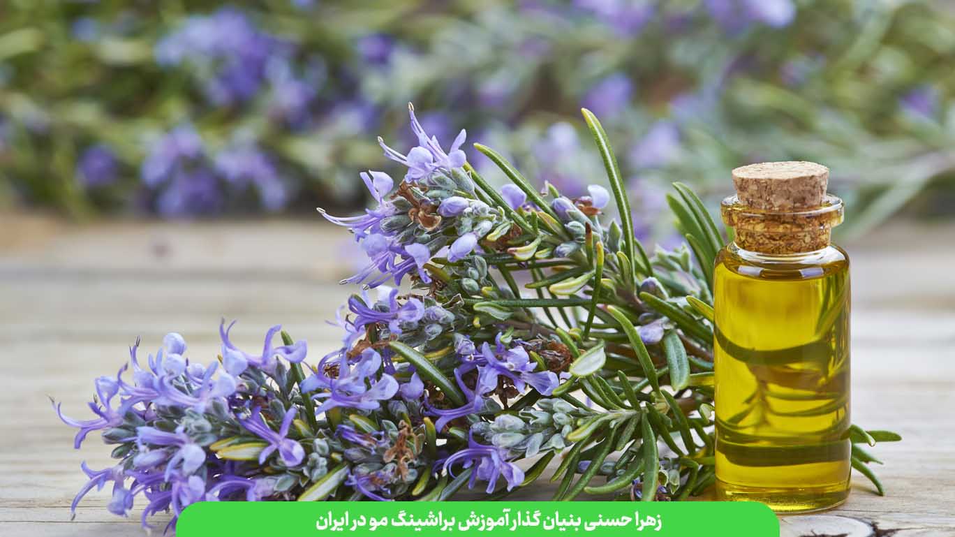 رزماری برای مو : تأثیرات آن بر سلامت و زیبایی موها